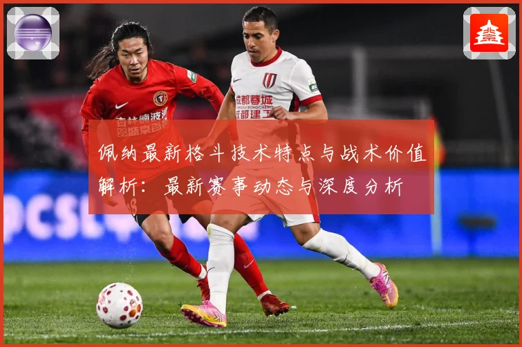 佩纳最新格斗技术特点与战术价值解析：最新赛事动态与深度分析